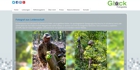 Webdesign, Referenz, Websiteerstellung, Homepage Gestaltung Fotograf Harry Glock